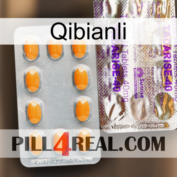 Qibianli new12